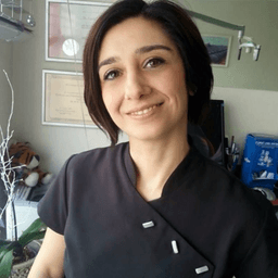 Funda Çar