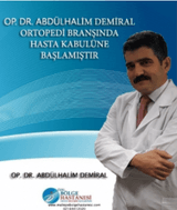 Abdulhalim Demiral