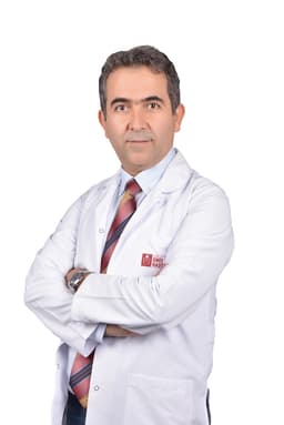 Tolga Doğan
