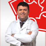 Mehmet Veske