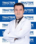 Mustafa İsmet Türkmen