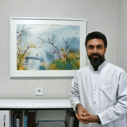 Volkan Işık