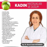 Meral Solak Vatandost