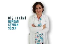 Nurdan Seyhan Sözen