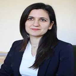 Güney Rastlayan