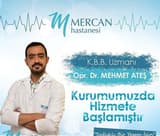 Mehmet Ateş