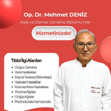 Mehmet Deniz