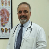 Melik SEYREK