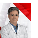 Şadıman İnan