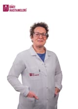 Gökçe Kundakçı Gelir