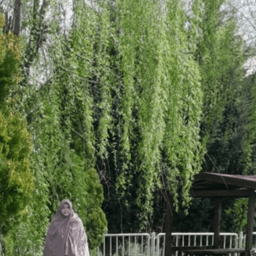 Meryem Kurt