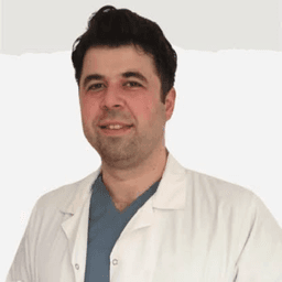 Mehmed Uğur Işık