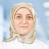Dilek Ak