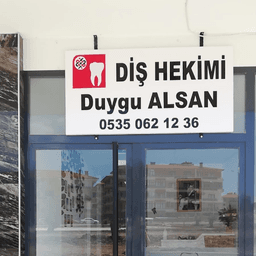 Duygu Alsan
