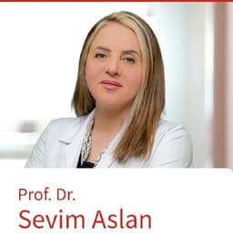 Sevim Aslan