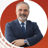 Melik SEYREK