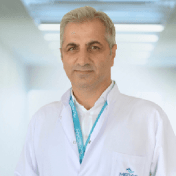 Nizamettin Demirci