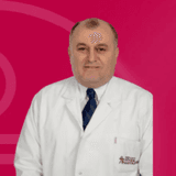 Levent Mehmet Alkan