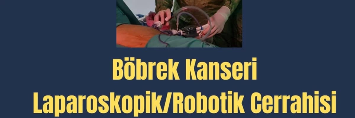 Böbrek Kanseri