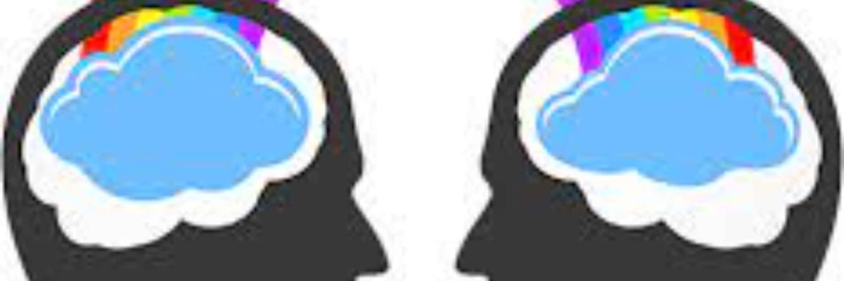 Eşcinselliğin Terapisi Mümkün Müdür? Eşcinsellik Nasıl Oluşur?