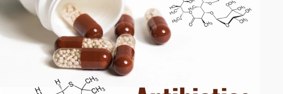 Antibiyotik kullanırken nelere dikkat etmeliyiz ?