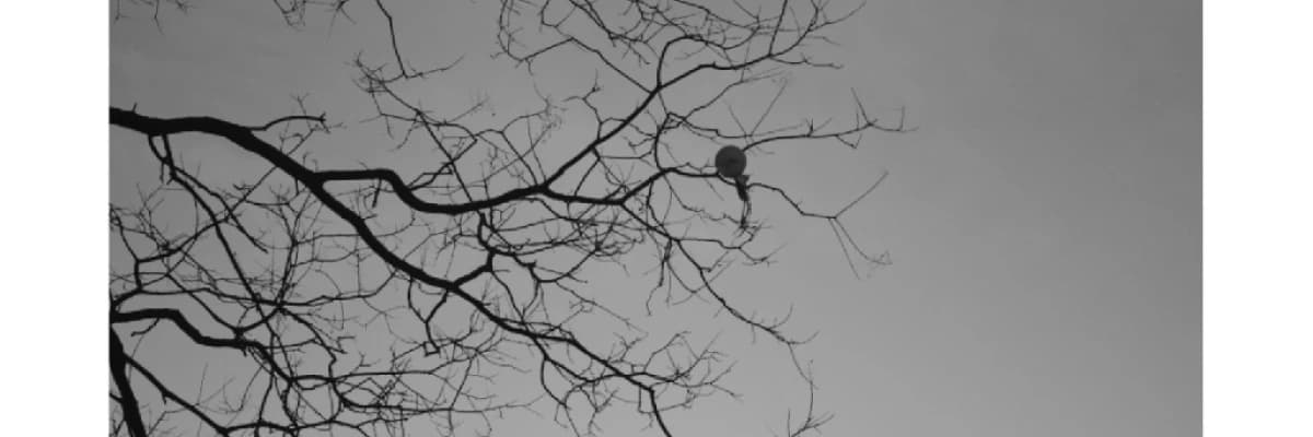 Belirsizliğe Tahammülsüzlük