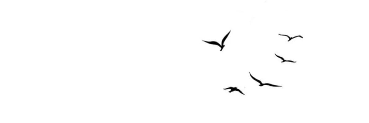 Sessiz Duygular, Kaybolan Benlikler