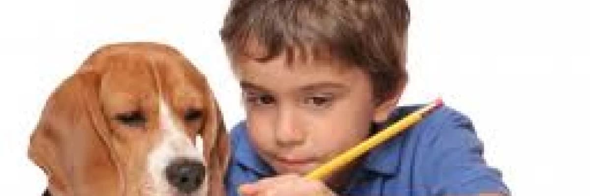 Çocuk ve ödev: ödev sorumluluğunu geliştirirken 9 öneri