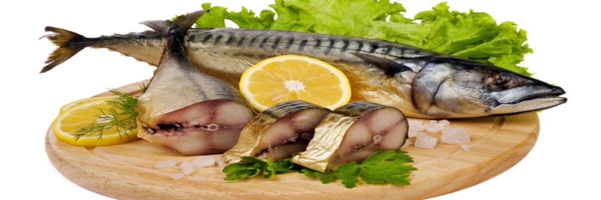 Balık ve beslenmemizdeki yeri