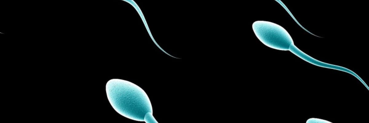 Azoospermide Cerrahi Yöntemlerle Sperm Elde Etme