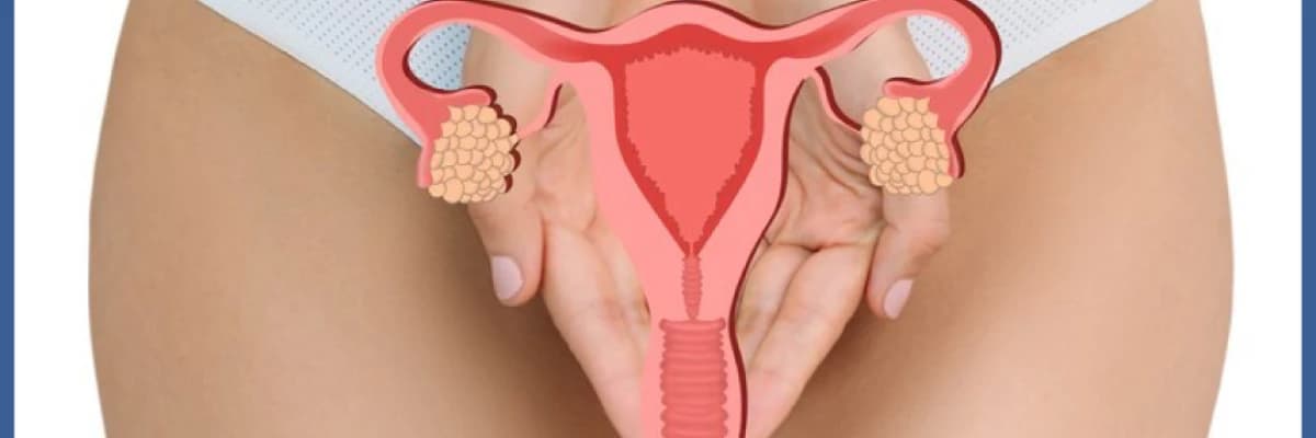 Üreme Organlarında Görülen Enfeksiyonlar