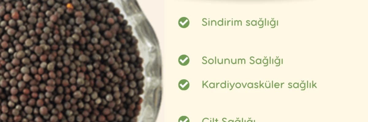 Siyah hardal tohumları nedir ve faydaları nelerdir?