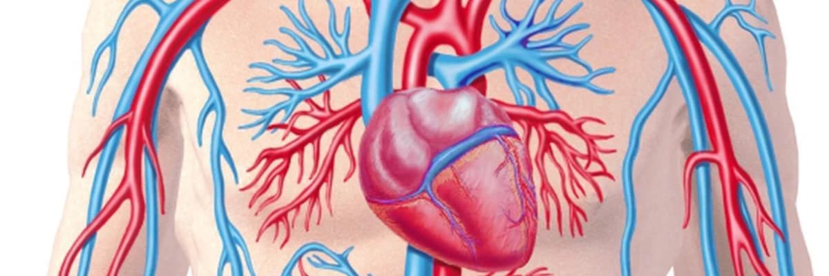 Yaşlı   Bireylerde  Kolesterol  İlaçları Faydalı mı? Zararlı mı?