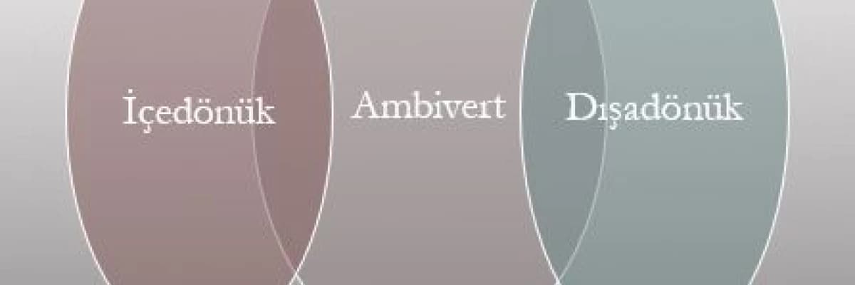 Ambivert