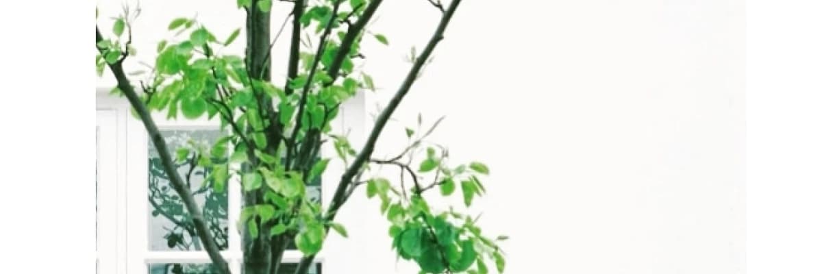 Hayatım anlamlı mı?