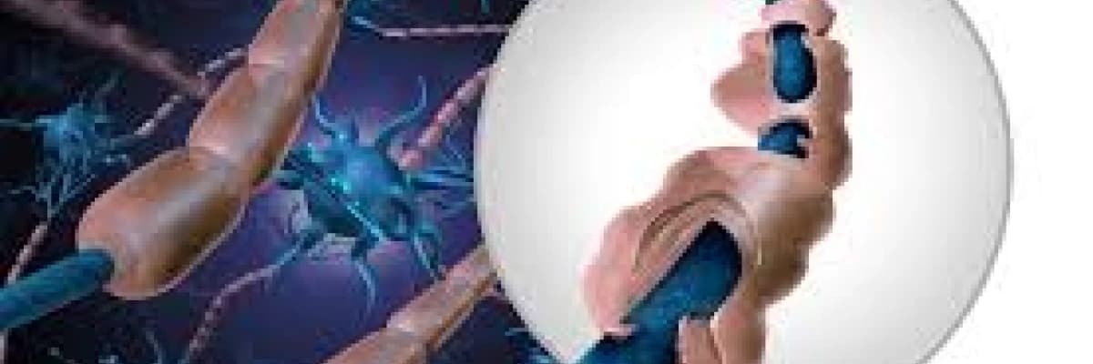 GULLAİN BARRE SENDROMU