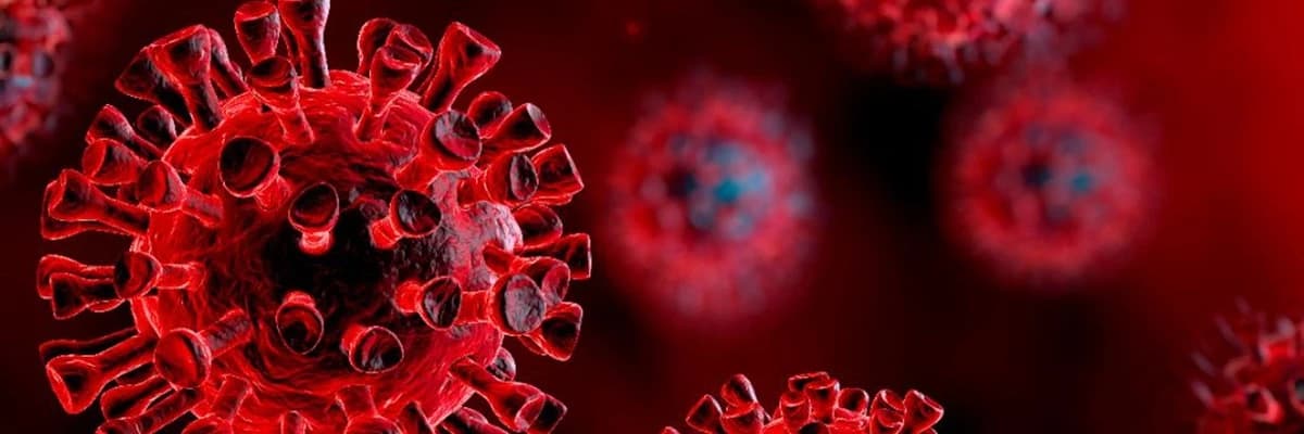 Covid 19 enfeksiyonunda ve sonrasında pulmoner (akciğer hastalıklarının) rehabilitasyonu