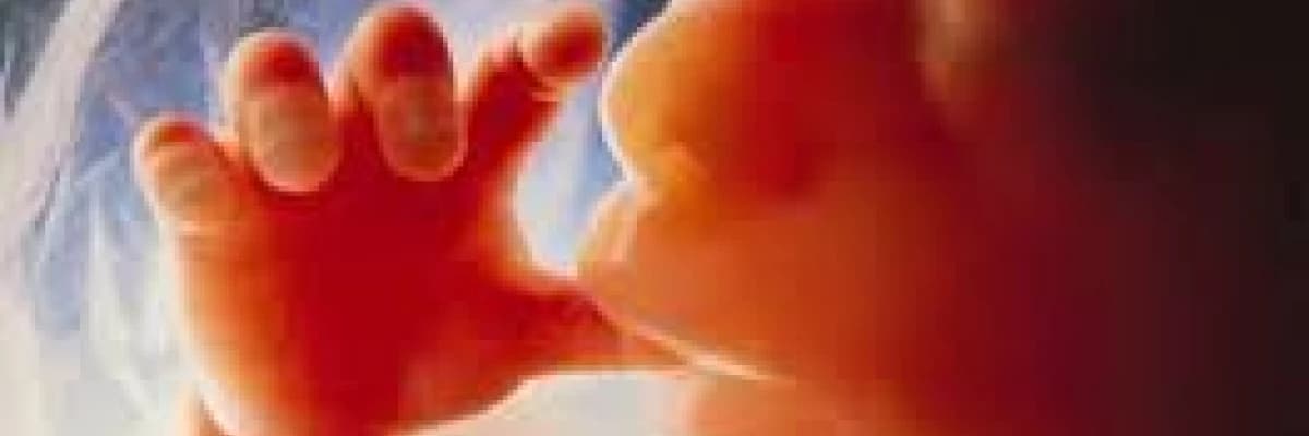 Hamilelikte Annenin Psikolojisi Bebeği Etkiler mi?