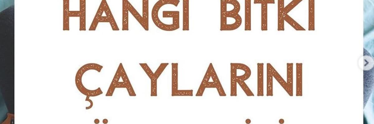 Gebeler Hangi Bitki Çaylarını Tüketebilir?