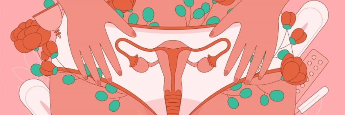 Polikistik Over Sendromu (Pcos) Nedir? Pcos'lu Bir Birey Nasıl Beslenmeli?