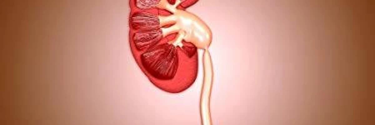 ÇOCUK ÜROLOJİSİ TERİMLERİ