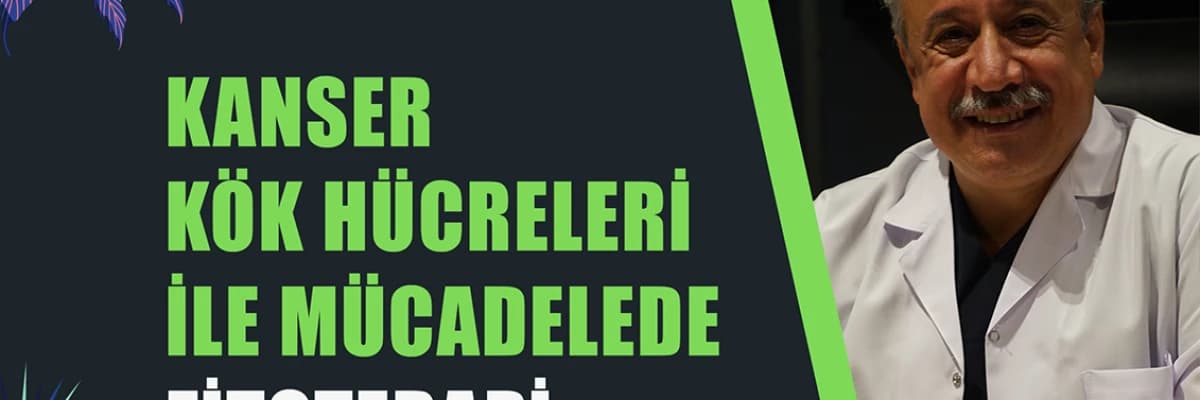 KANSER KÖK HÜCRELERİ İLE MÜCADELEDE FİTOTERAPİ