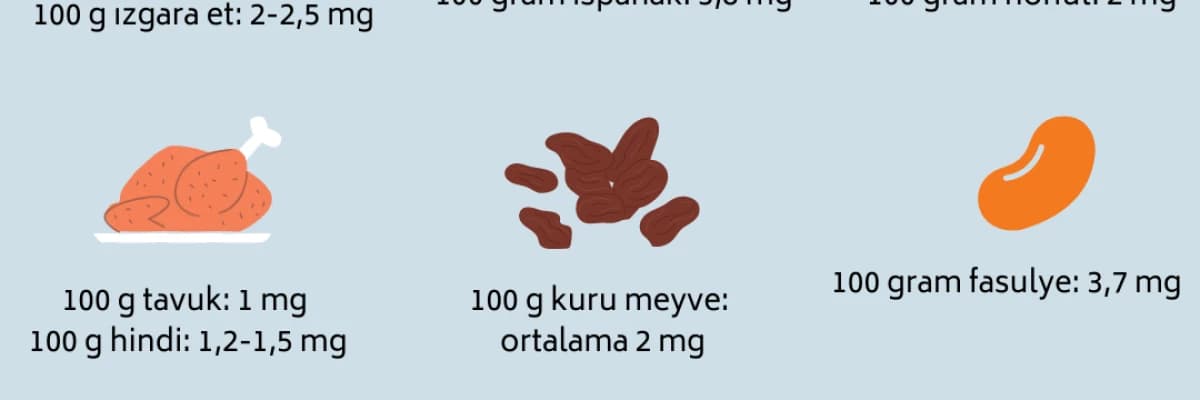Yüksek demir içeriğine sahip besinler