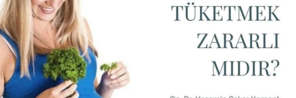 Hamilelikte Maydanoz Tüketmek Zararlı mıdır?