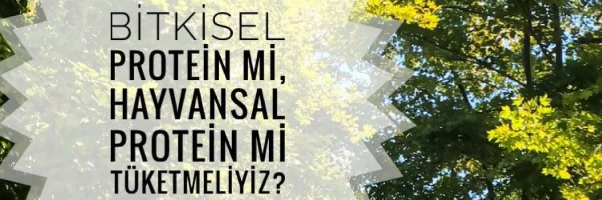 Bitkisel Protein mi, Hayvansal Protein mi?