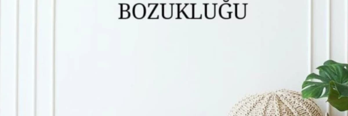 BORDERLİNE KİŞİLİK BOZUKLUĞU ( Borderline tedavisi)