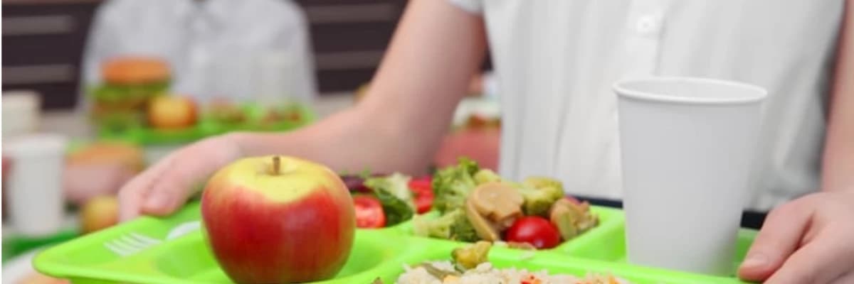 TAM GÜN OKULLARDA TOPLU BESLENME NASIL OLMALIDIR, VELİLER NEYE DİKKAT ETMELİDİR?