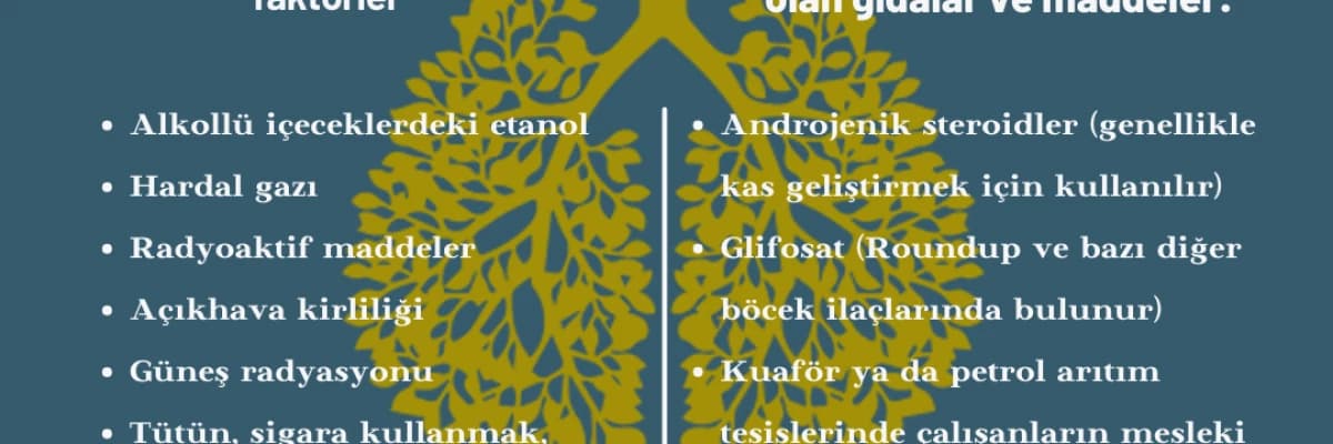 Kanser ve Beslenme Alışkanlığı