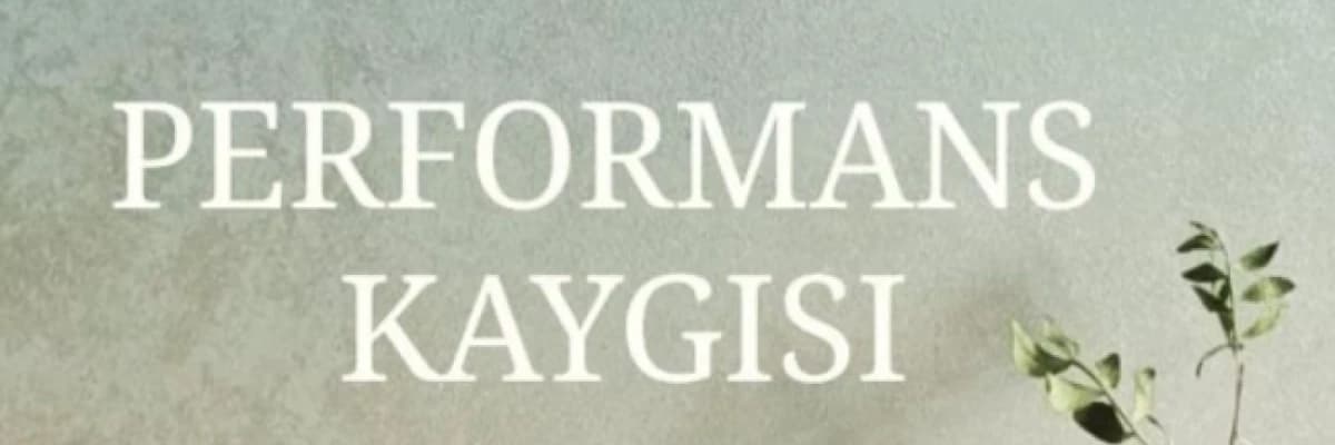PERFORMANS KAYGISI