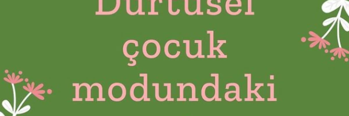 Dürtüsel Çocuk Modundaki Anneler